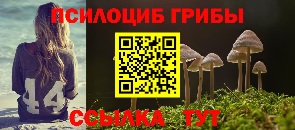Псилоцибиновые грибы GOLDEN TEACHER Волгодонск